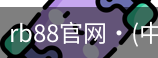rb88官网